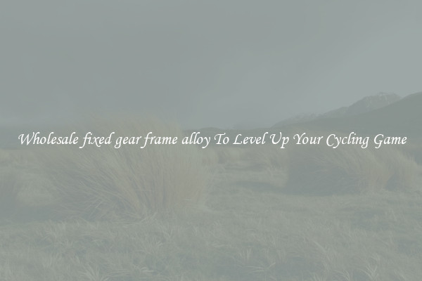 Wholesale fixed gear frame alloy To Level Up Your Cycling Game