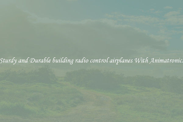 Sturdy and Durable building radio control airplanes With Animatronics