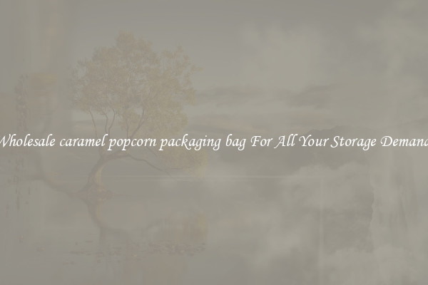 Wholesale caramel popcorn packaging bag For All Your Storage Demands