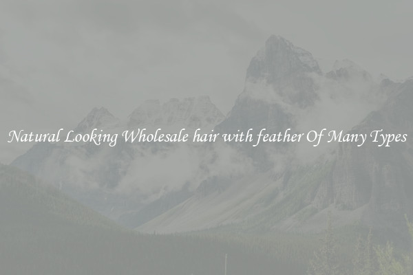 Natural Looking Wholesale hair with feather Of Many Types