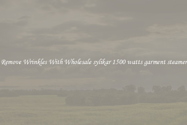 Remove Wrinkles With Wholesale sylikar 1500 watts garment steamer
