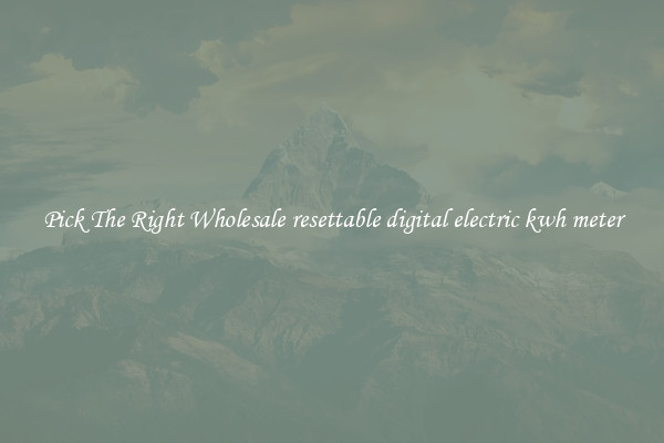 Pick The Right Wholesale resettable digital electric kwh meter