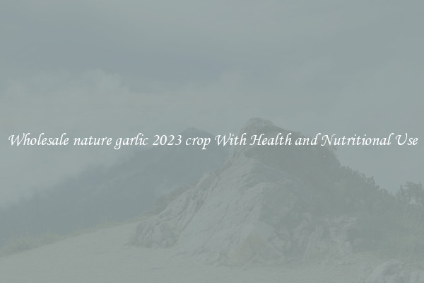 Wholesale nature garlic 2023 crop With Health and Nutritional Use