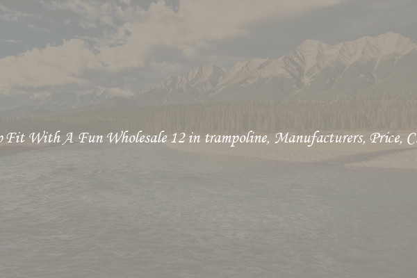 Keep Fit With A Fun Wholesale 12 in trampoline, Manufacturers, Price, Cheap 