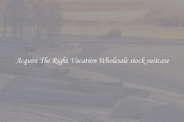 Acquire The Right Vacation Wholesale stock suitcase