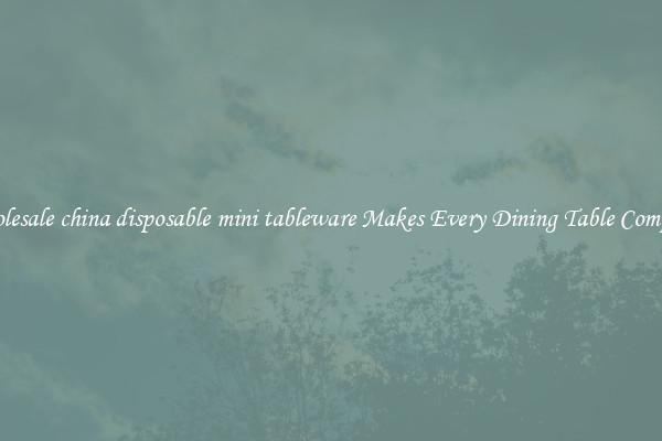Wholesale china disposable mini tableware Makes Every Dining Table Complete