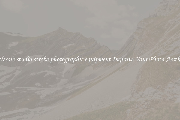 Wholesale studio strobe photographic equipment Improve Your Photo Aesthetics