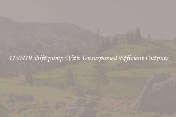 11c0419 shift pump With Unsurpassed Efficient Outputs