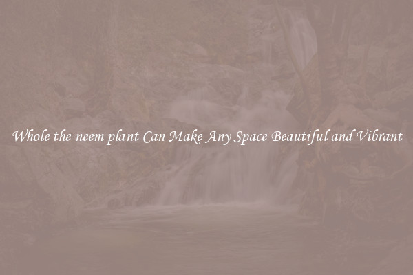 Whole the neem plant Can Make Any Space Beautiful and Vibrant