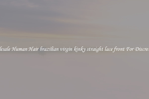 Wholesale Human Hair brazilian virgin kinky straight lace front For Discreteness