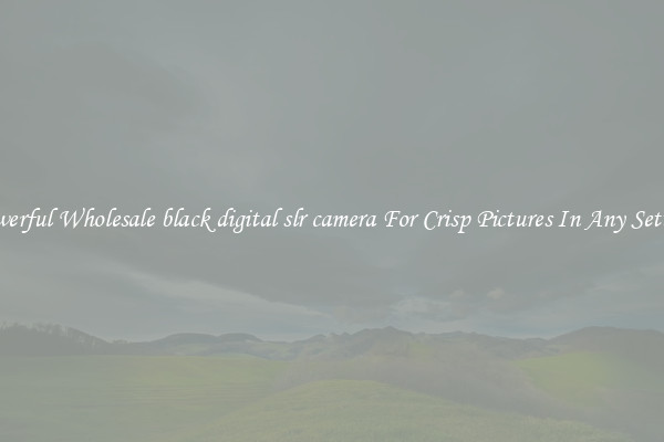 Powerful Wholesale black digital slr camera For Crisp Pictures In Any Setting