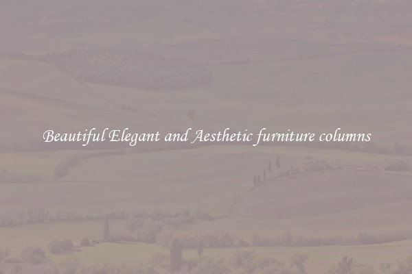 Beautiful Elegant and Aesthetic furniture columns