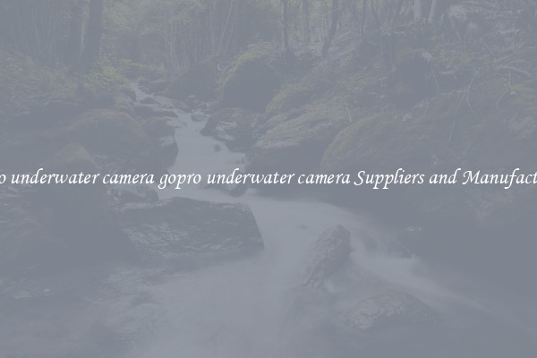gopro underwater camera gopro underwater camera Suppliers and Manufacturers