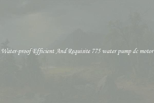 Water-proof Efficient And Requisite 775 water pump dc motor