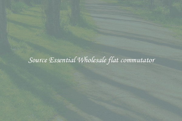 Source Essential Wholesale flat commutator