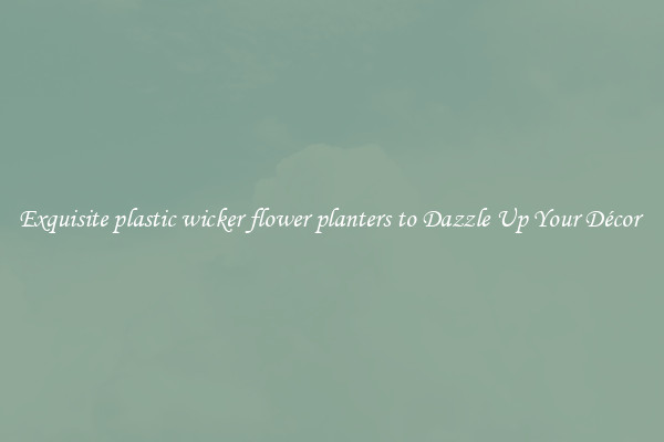 Exquisite plastic wicker flower planters to Dazzle Up Your Décor 