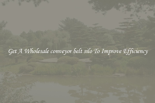 Get A Wholesale conveyor belt silo To Improve Efficiency