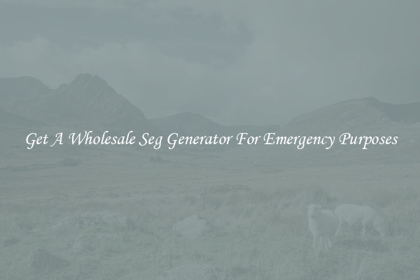 Get A Wholesale Seg Generator For Emergency Purposes