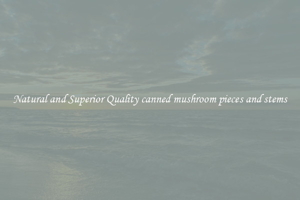 Natural and Superior Quality canned mushroom pieces and stems