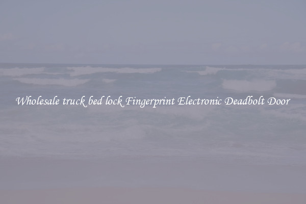 Wholesale truck bed lock Fingerprint Electronic Deadbolt Door 