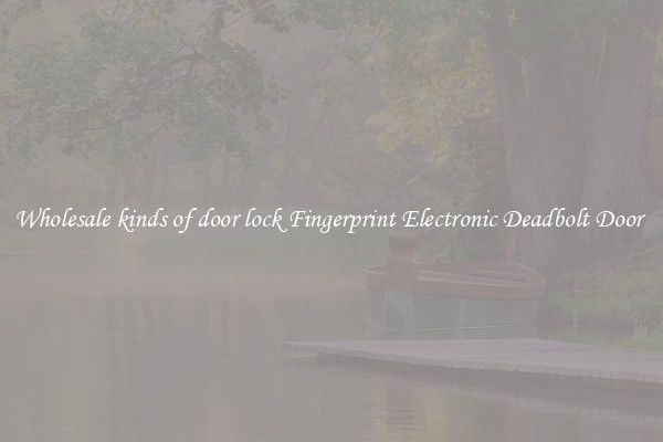 Wholesale kinds of door lock Fingerprint Electronic Deadbolt Door 