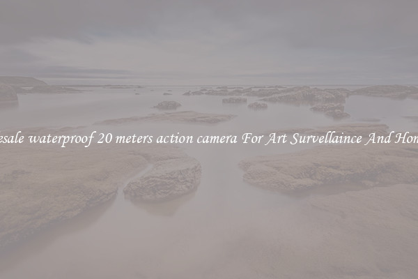Wholesale waterproof 20 meters action camera For Art Survellaince And Home Use