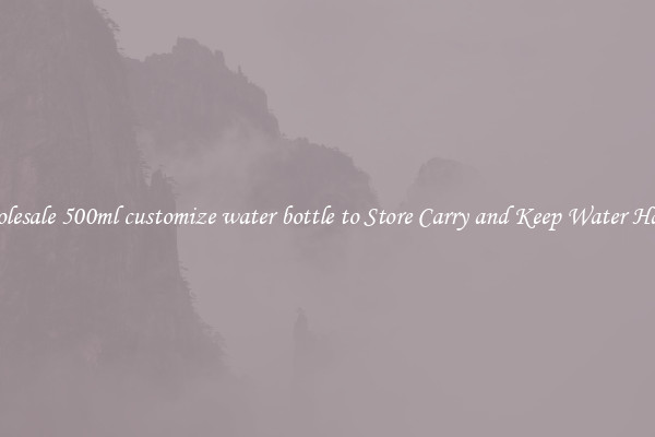 Wholesale 500ml customize water bottle to Store Carry and Keep Water Handy