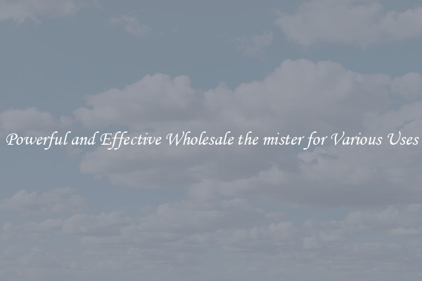 Powerful and Effective Wholesale the mister for Various Uses