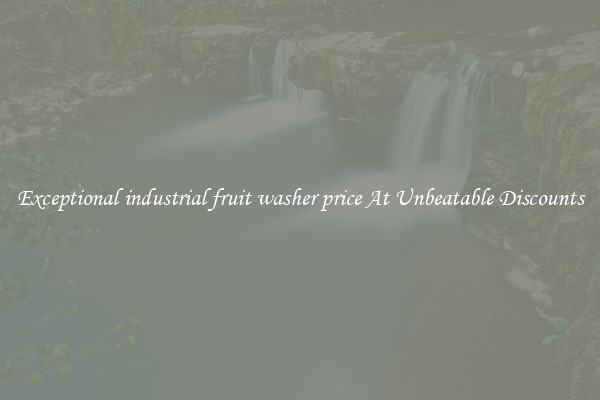 Exceptional industrial fruit washer price At Unbeatable Discounts