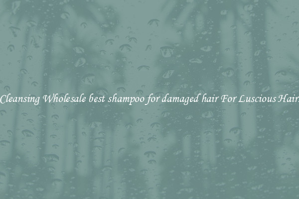 Cleansing Wholesale best shampoo for damaged hair For Luscious Hair.